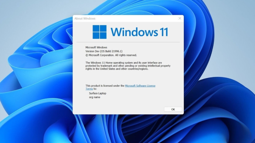 Download Windows 11