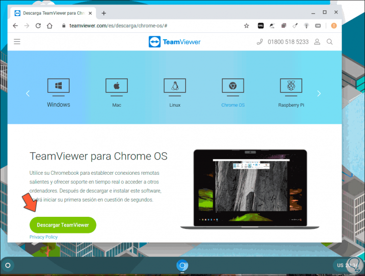 teamviewer chrome os download