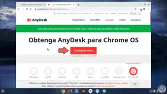 Chrome os anydesk installer