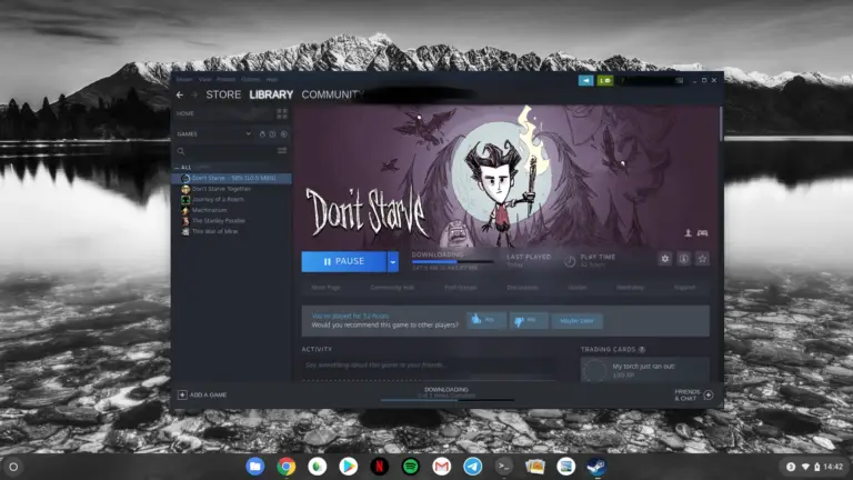 Steam via Linux on Chrome OS