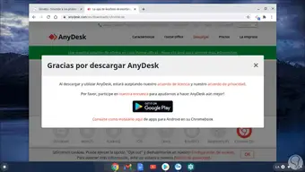 Anydesk player
